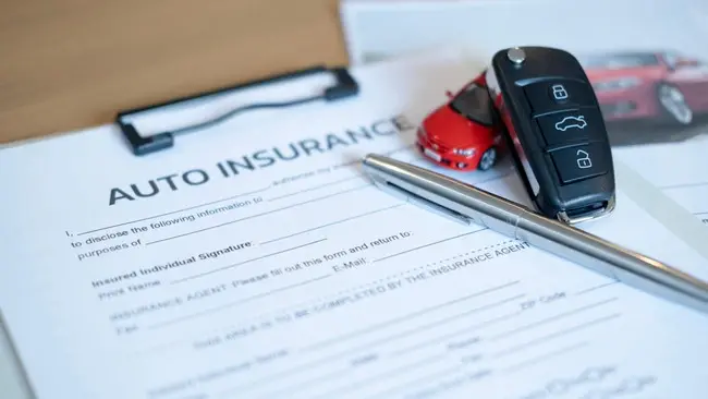 What You Need to Know About Motor Vehicle Insurance
